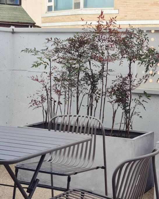 Blue Sky Terrace House Hizm